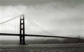 橋, 川, 白黒画像 HDの壁紙