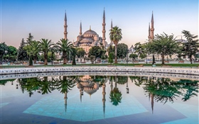 イスタンブール、トルコ、モスク、木、水 HDの壁紙