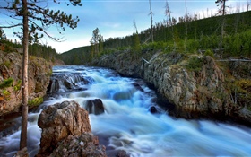 川、木、岩、自然 HDの壁紙
