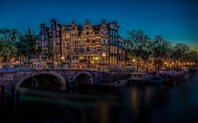 アムステルダム、オランダ、橋、川、光、夜