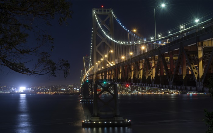 カリフォルニア、サンフランシスコ、橋、光、川、夜 壁紙 ピクチャー