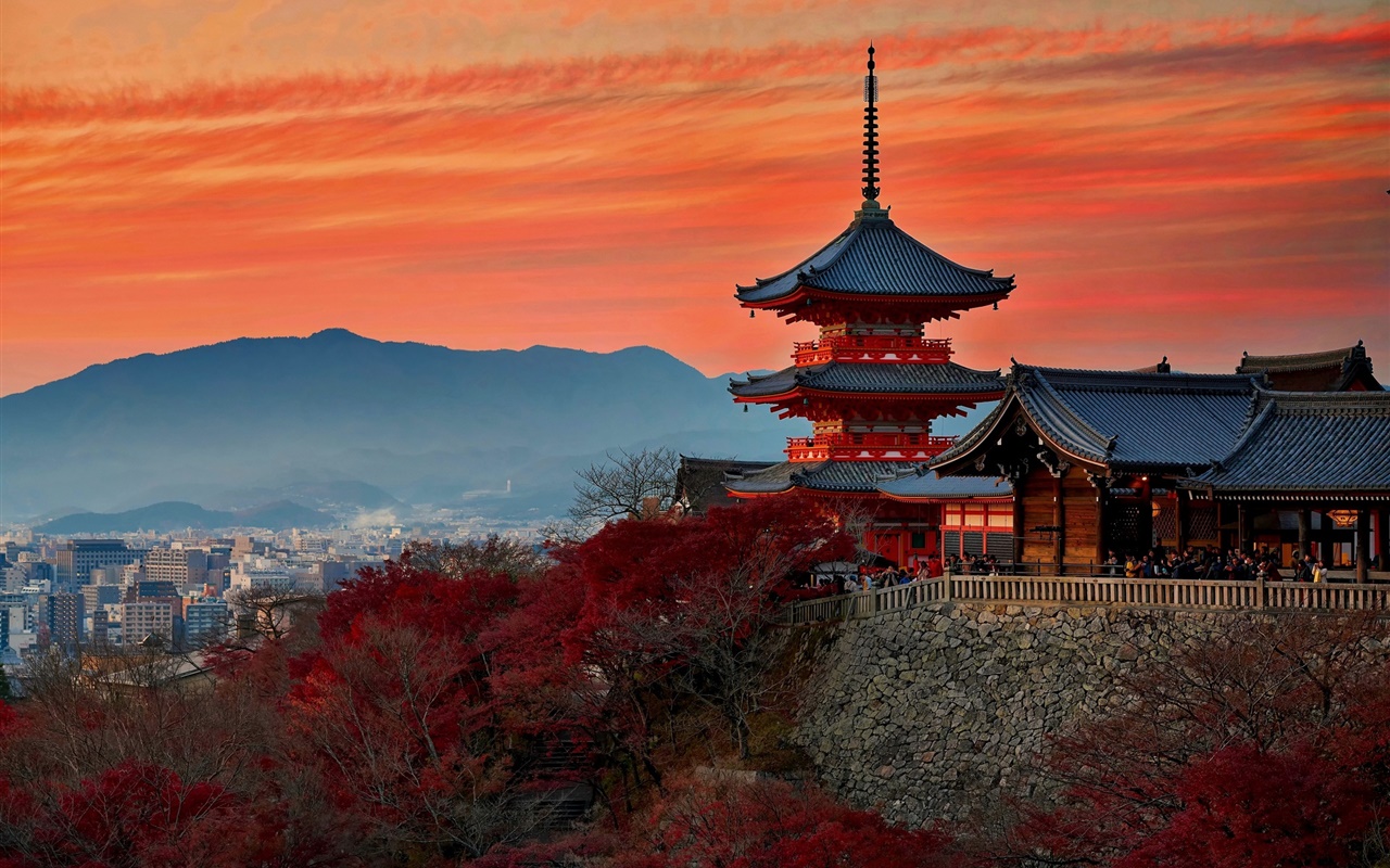 日本、京都、寺院、秋、夕暮れ 1280x800 壁紙 背景画像