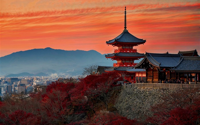 日本、京都、寺院、秋、夕暮れ 壁紙 ピクチャー