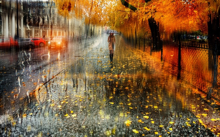 秋、都市、雨、木々、女の子、道路、車 壁紙 ピクチャー