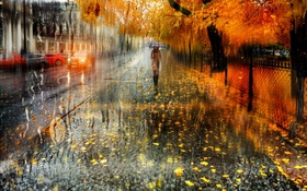 秋、都市、雨、木々、女の子、道路、車 HDの壁紙