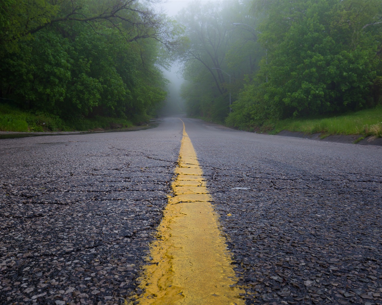 道路、朝、霧、木々 1280x1024 壁紙 背景画像